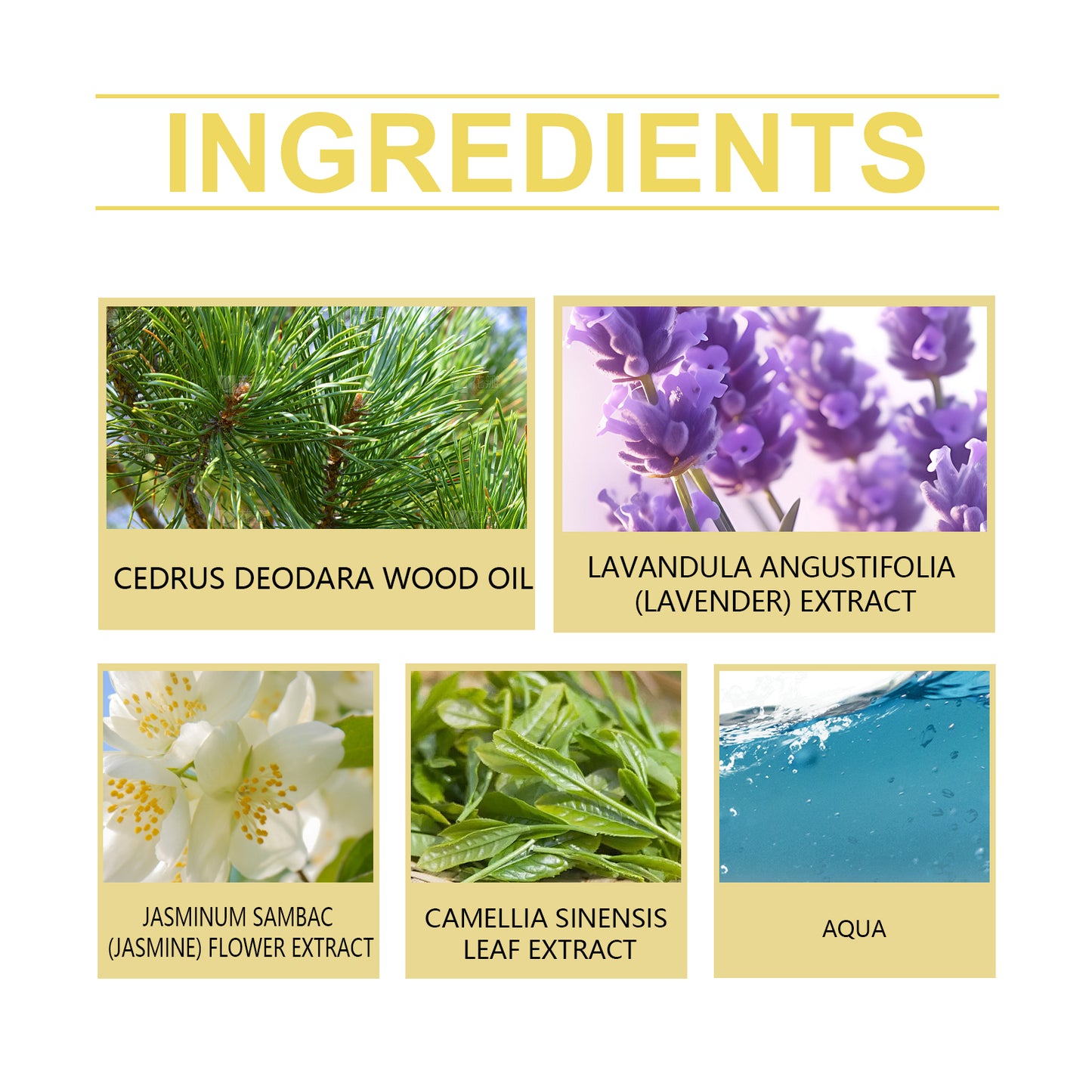 Roxelis Cedar Eau De Toilette Natural Wood Fragrance Fresh Light Flowers Glow Elegant Romantic Temperament Elegant Leave Fragrance