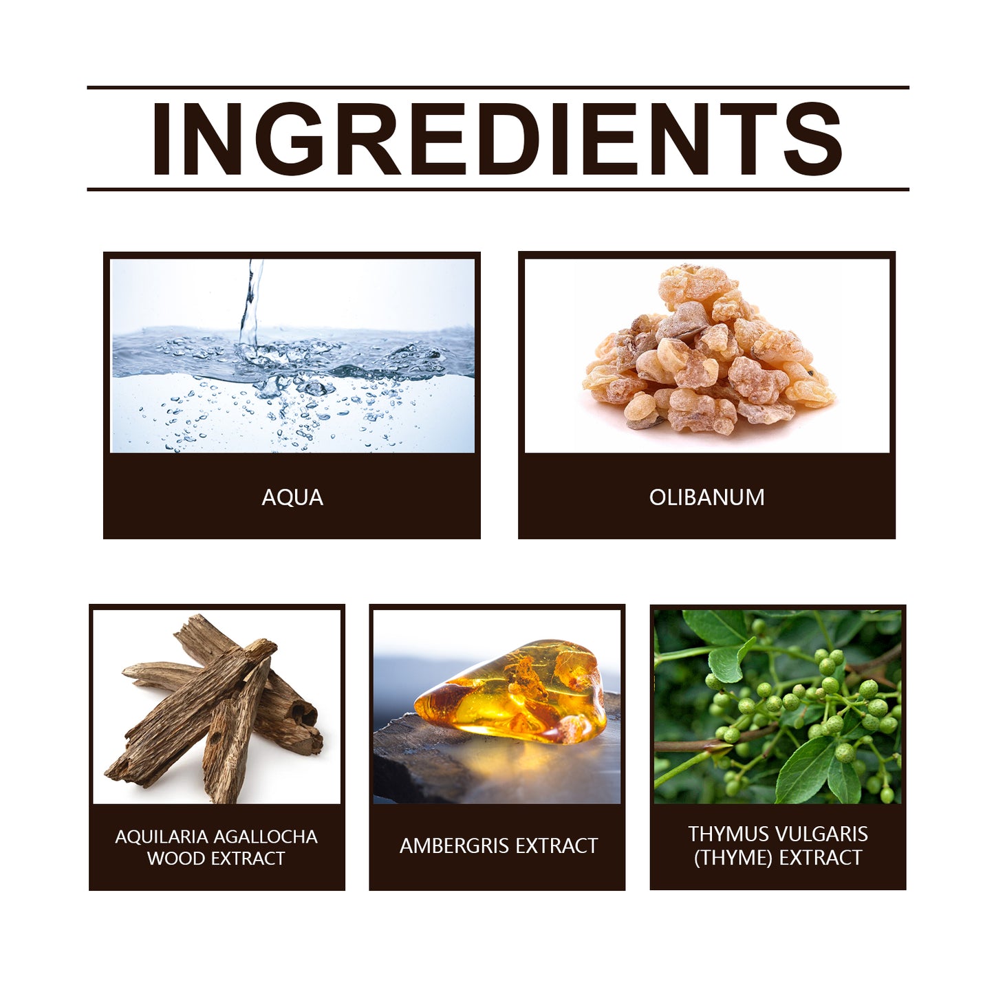 Roxelis Black Wood Fragrance Niche Perfume Niche Premium Fragrance Fresh Unique Fragrance Stay Wood Charm Light Elegant Fresh