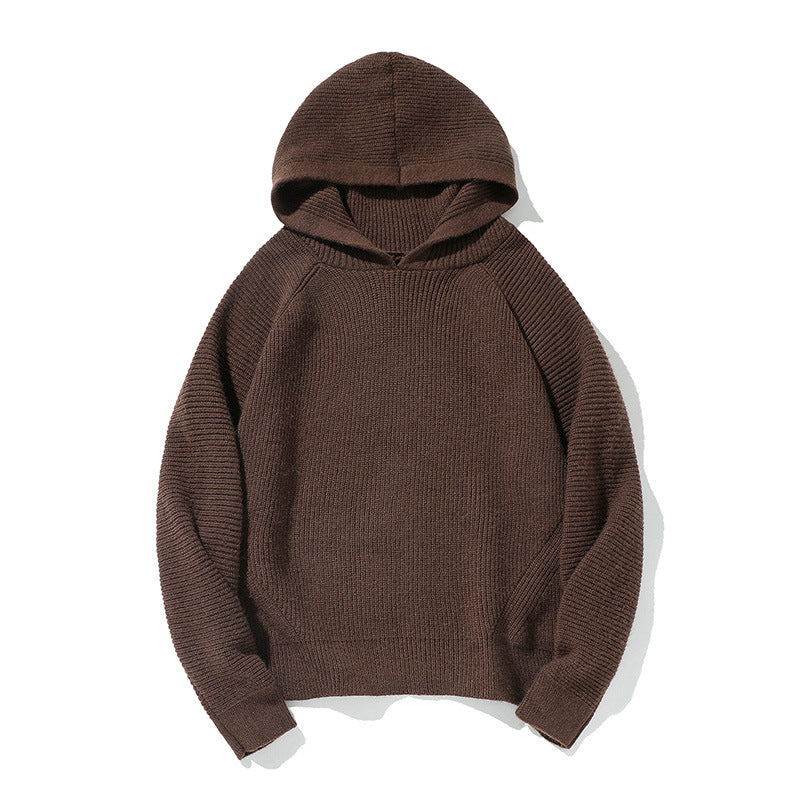 Simple Solid Color Hooded Ribbed Cuff Warm Casual Crewneck Sweater
